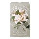Apa de toaleta Monotheme White Musk edt 100 ml