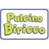Pulcino Biricco