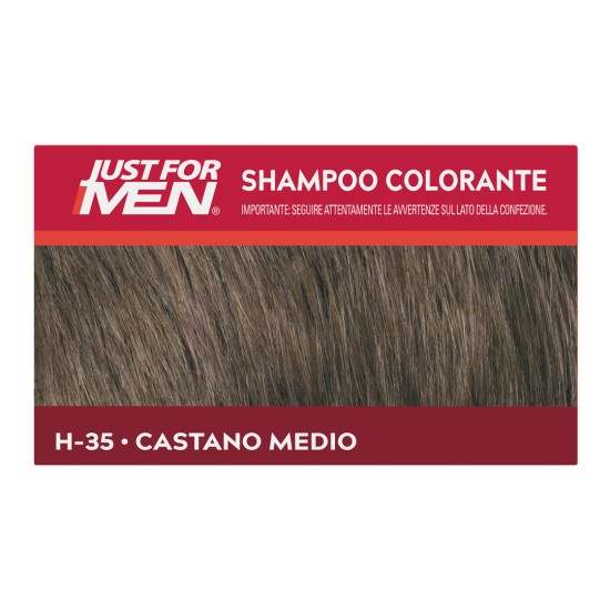 Sampon colorant Just For Men Castano Medio H-35